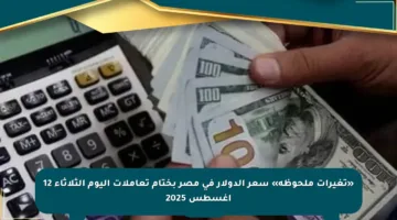 «تغيرات ملحوظة» سعر الدولار في مصر بختام تعاملات اليوم الثلاثاء 12 أغسطس 2025